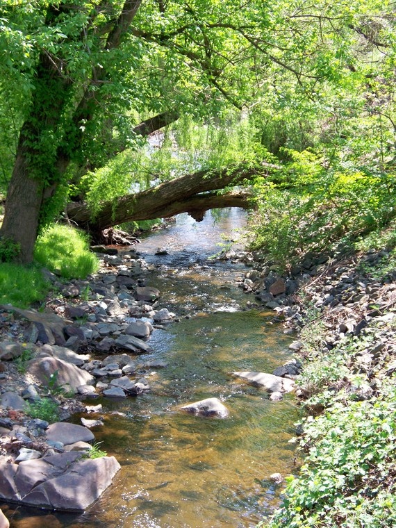 Karoi River